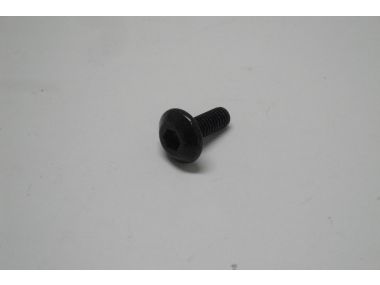 10280187.JPG