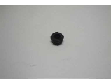 10759127.JPG