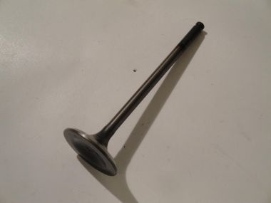 1719838.JPG