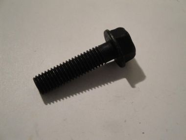 1876838.JPG