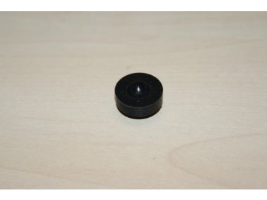 20158299.JPG