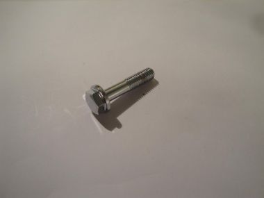 2197288.JPG