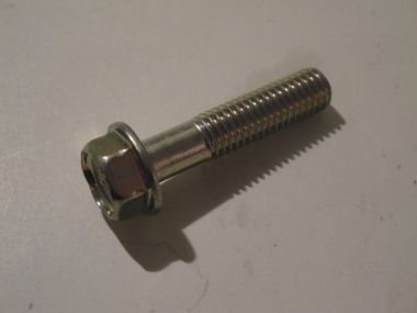 2583336.JPG