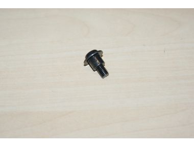 29786534.JPG