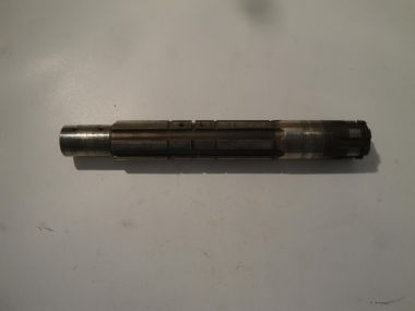 3186336.JPG