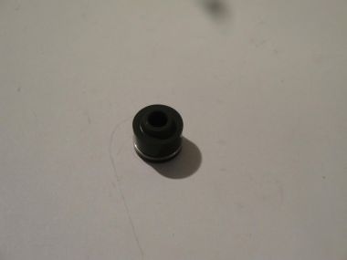 3189131.JPG