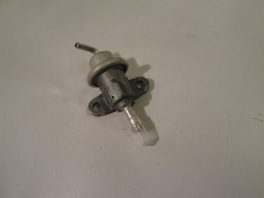 6095745.JPG