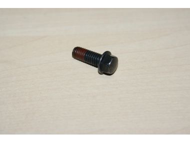 34029082.JPG