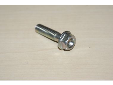 34029104.JPG