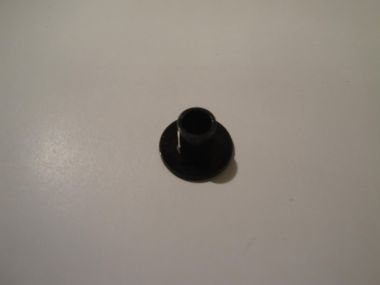 3515905.JPG
