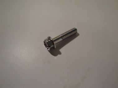 3515933.JPG