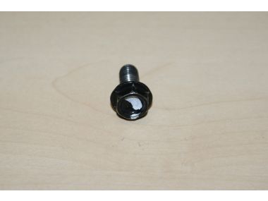 35947036.JPG