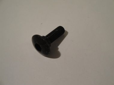 3595935.JPG