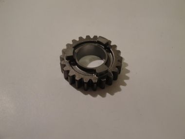 3595998.JPG