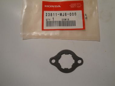 3767489.JPG