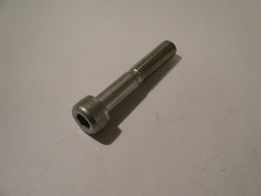 3776202.JPG