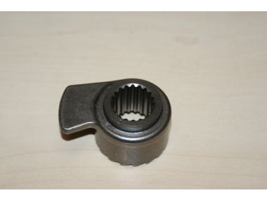 38226834.JPG