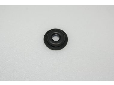 41670375.JPG