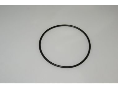 41670600.JPG