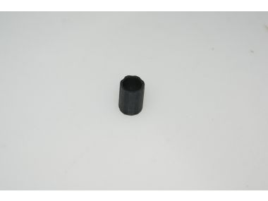 41921173.JPG