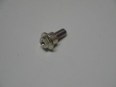 4599189.JPG