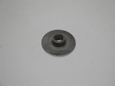 4599386.JPG