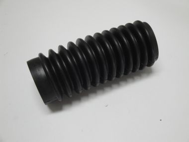 5107346.JPG