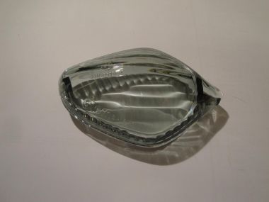 5107508.JPG