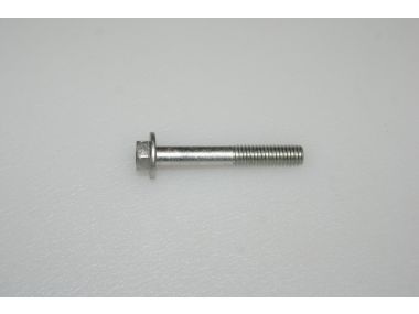 57939332.JPG