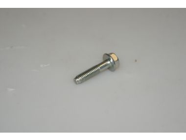 58185462.JPG