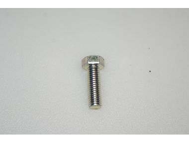 59105075.JPG