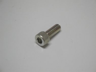 5920983.JPG