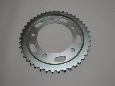 5921005.JPG