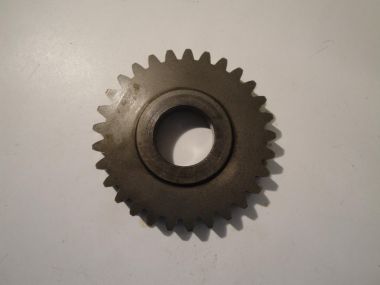 6180490.JPG