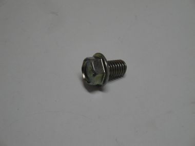 6852599.JPG