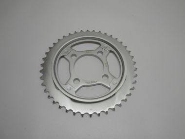 7084700.JPG