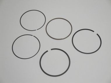 7084743.JPG