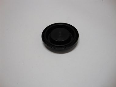 7612059.JPG