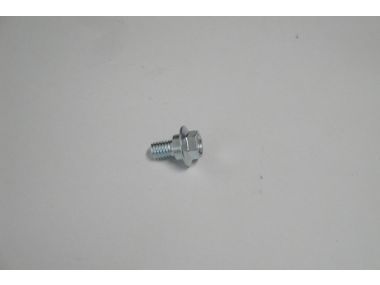 7770425.JPG