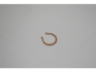 8020926.JPG