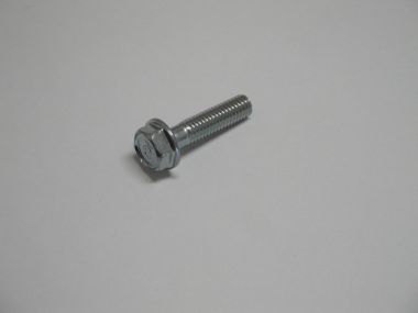 8918785.JPG
