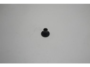 9073625.JPG