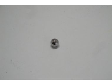9081346.JPG