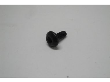 10280187.JPG