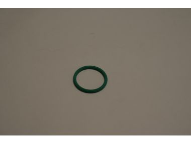11058777.JPG