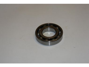 11059116.JPG