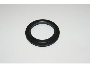 12550183.JPG