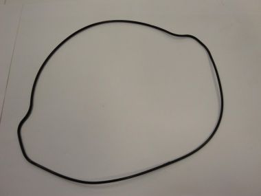1260862.JPG