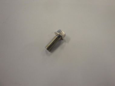 1313401.JPG