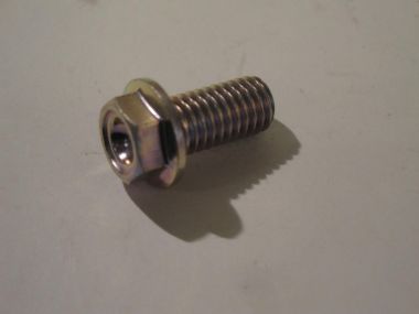 1623250.JPG